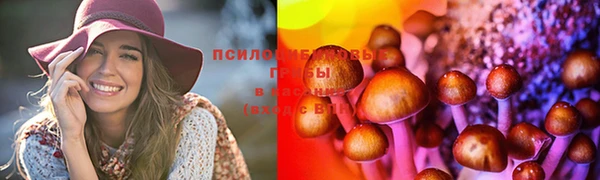 2c-b Волосово