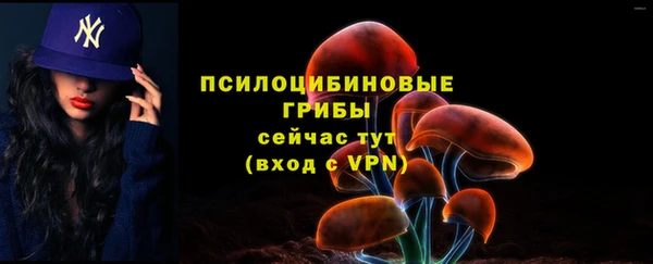 шишки Волоколамск