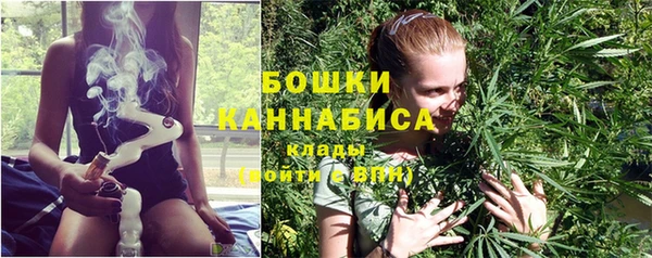 шишки Волоколамск